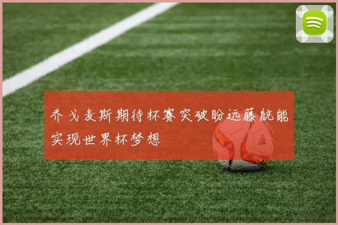 乔戈麦斯期待杯赛突破盼远藤航能实现世界杯梦想